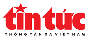 Thông tấn xã việt nam